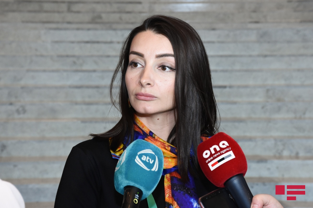 Leyla Abdullayeva: "Azerbaijan will bring legal proceedings to hold Armenia to account for systematic violations of the ICERD"