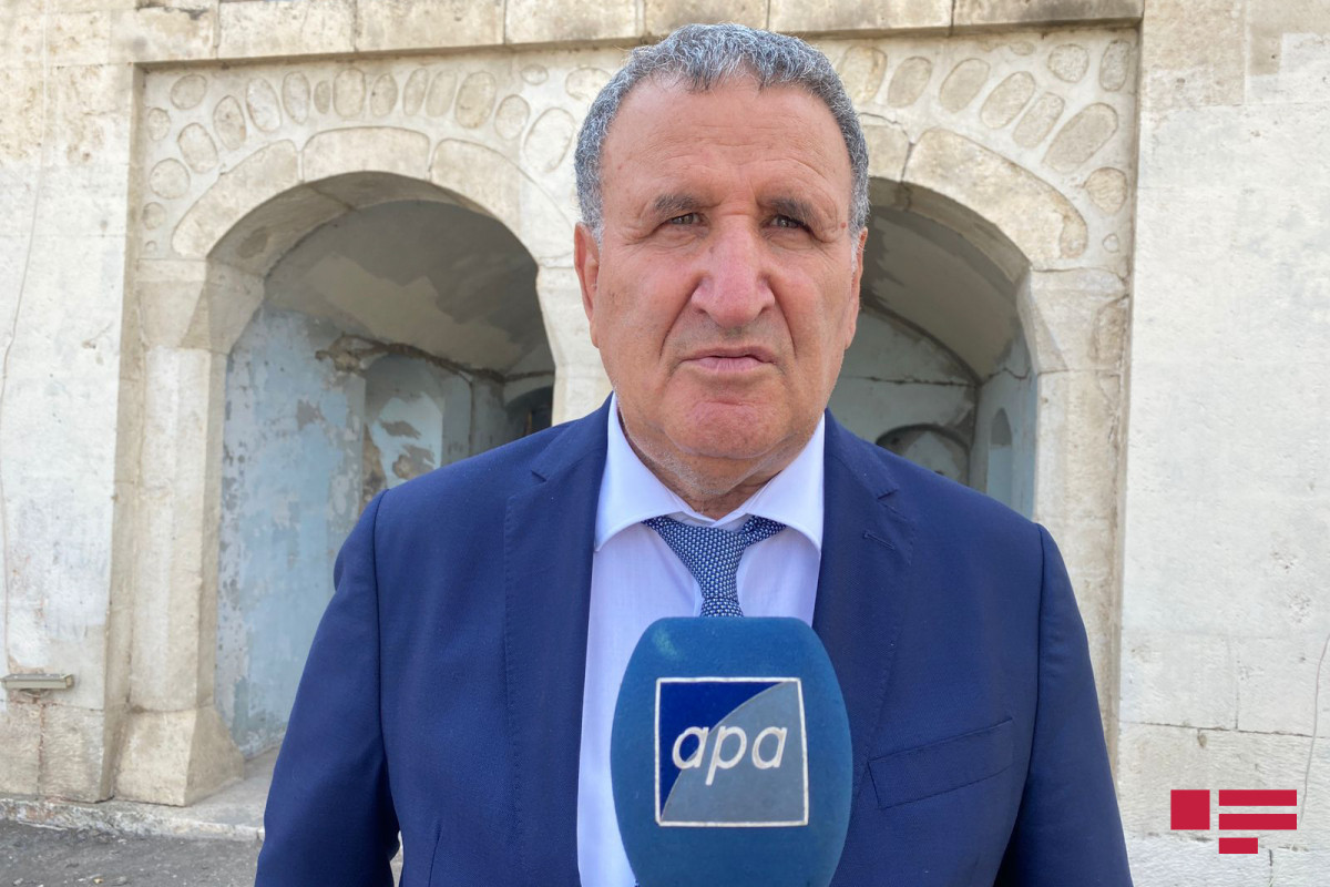 Vice-President of ANAS, Academician Isa Habibbayli