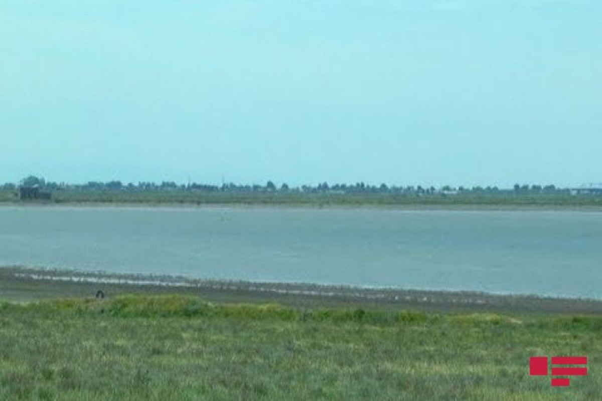 Hajigabul lake