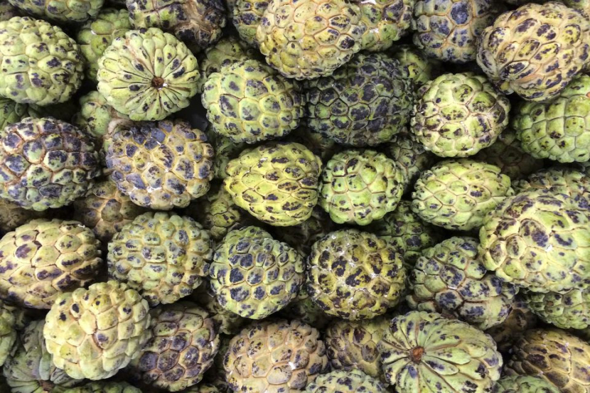 China halts Taiwan sugar apple, wax apple imports to prevent disease