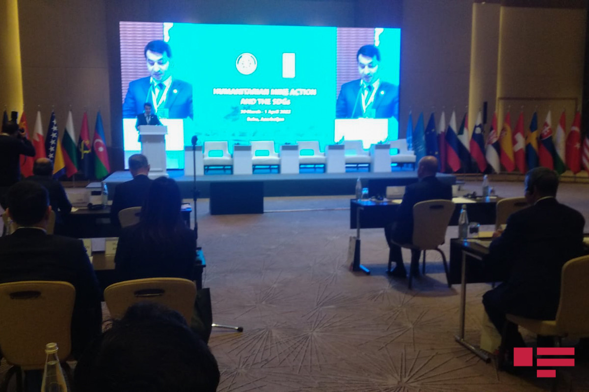 Hikmat Hajiyev, Assistant to the President of the Republic of Azerbaijan, Head of Foreign Policy Affairs Department of the Presidential Administration
