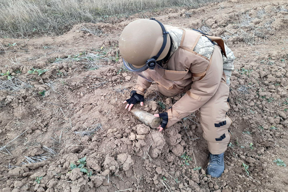 203 ha of territory completely cleared of mines throughout March - Azerbaijani MoD-VIDEO 