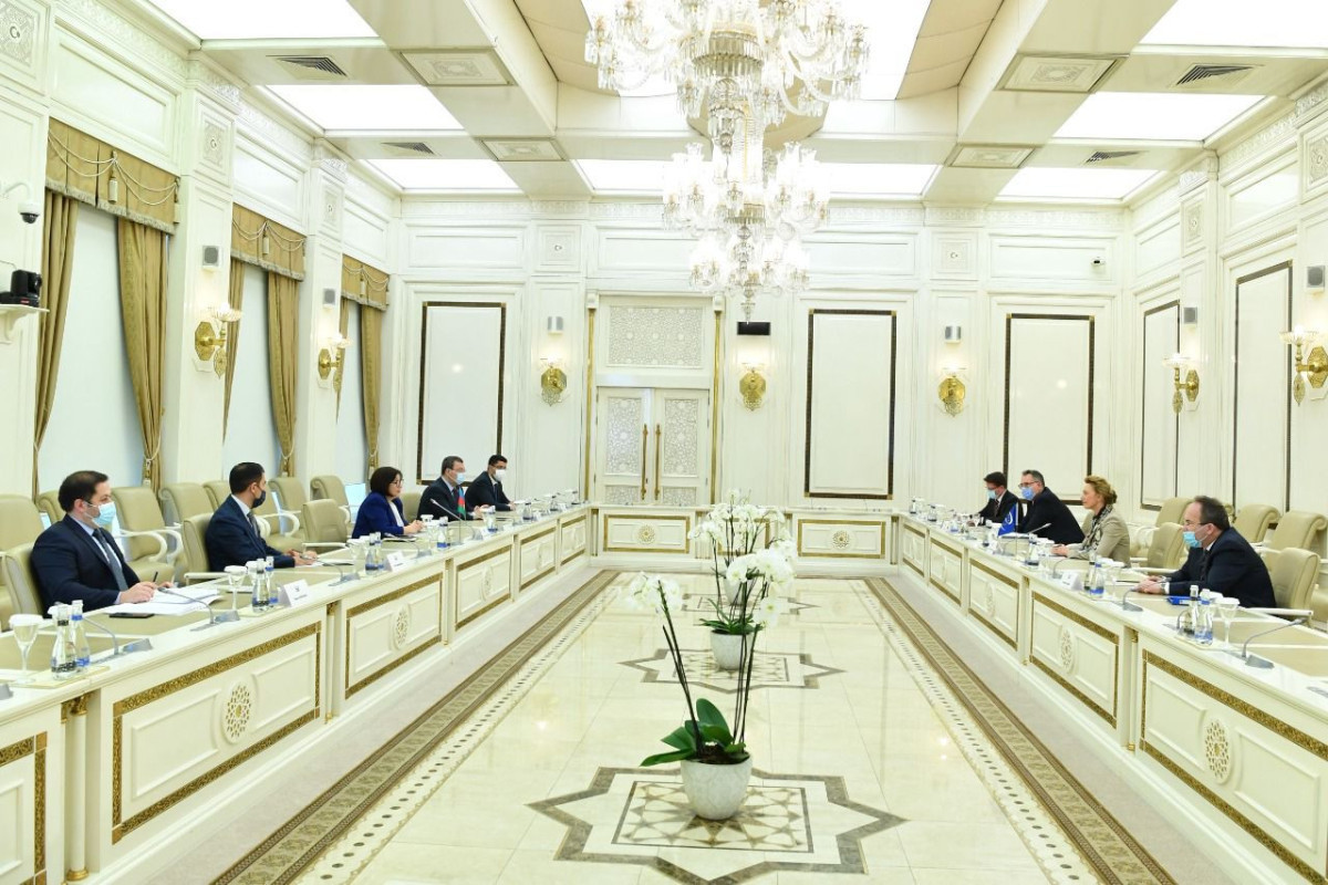 Chair of Azerbaijan's Milli Majlis meets Secretary -General of Council of Europe