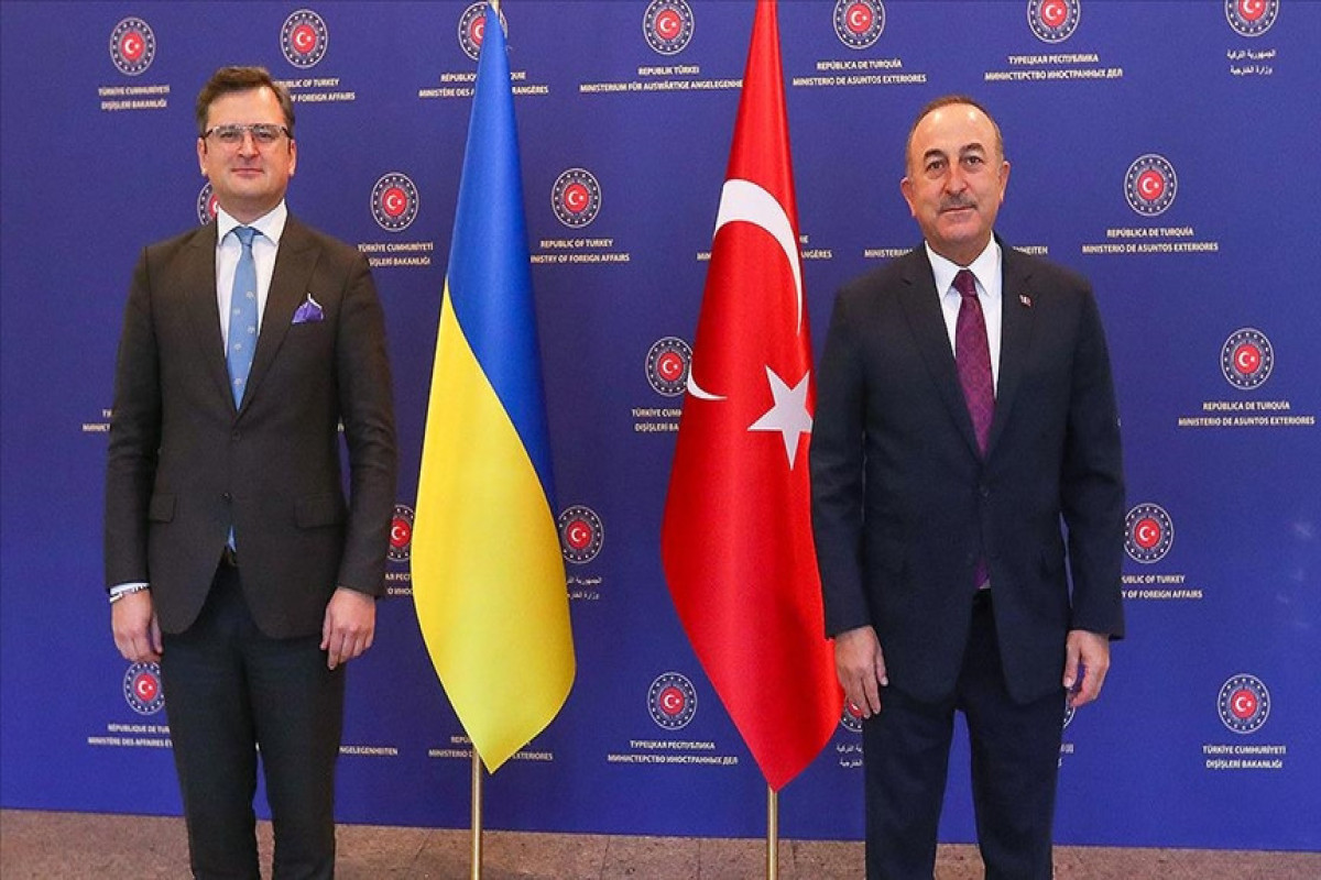 Dmitry Kuleba and Mevlut Cavusoglu
