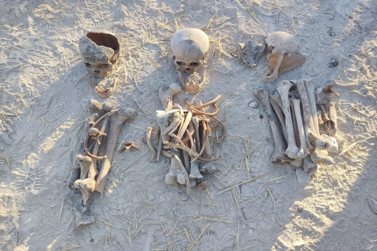 Several other human remains found on Farrukh Heights-VIDEO 