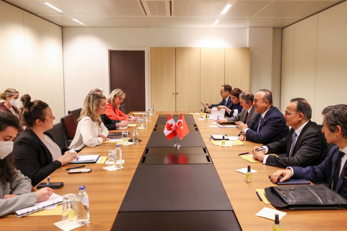 Cavusoglu discussed Ukraine with his Canadian counterpart