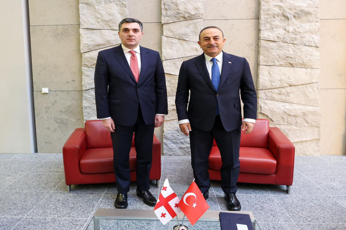 Ilia Darchiashvili, Mevlut Cavusoglu