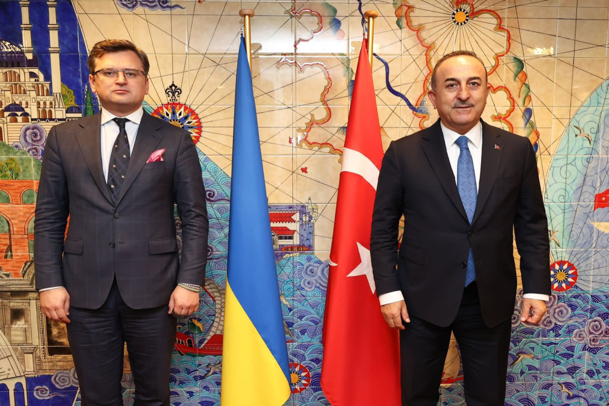 Kuleba and Cavusoglu