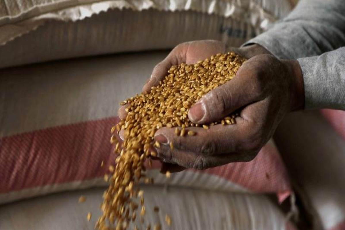UN: Food prices at highest levels ever in March