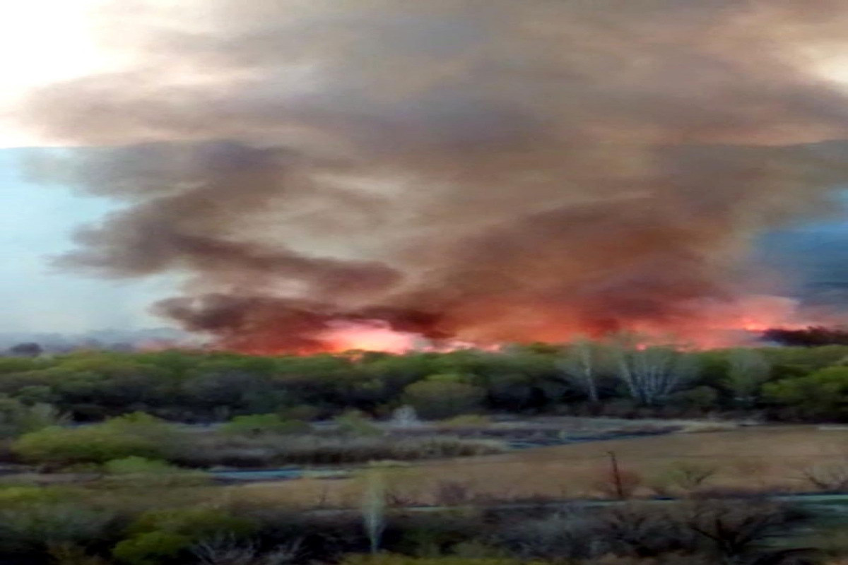 Fire broke out on Turkish-Armenian border-PHOTO -VIDEO 