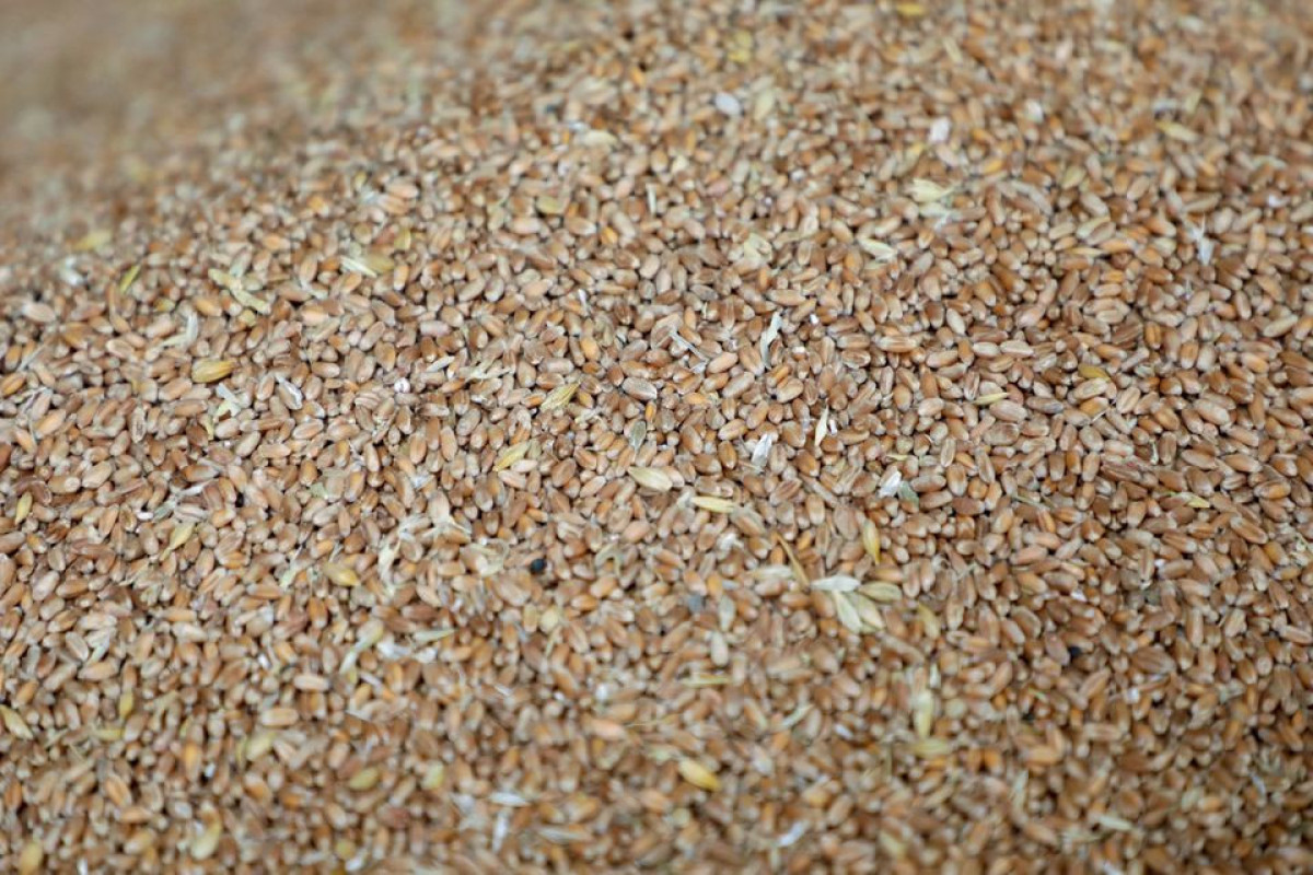 IMF, World Bank, WFP and WTO urge coordinated action on food security