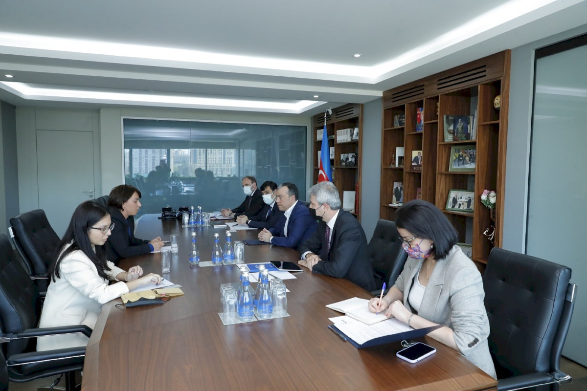 France and Azerbaijan discuss employment relations