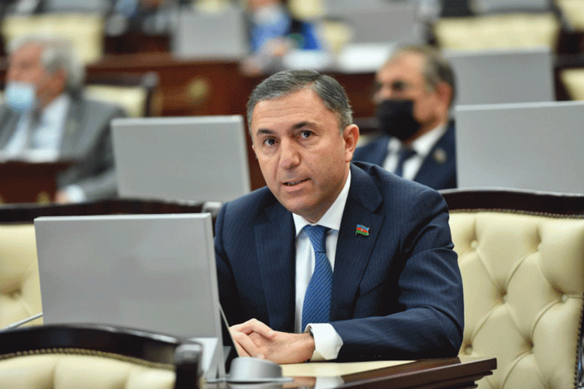 Tahir Mirkishili, Parliamentary Committee on Economic Policy, Industry and Entrepreneurship, Member of the Azerbaijani Parliament's delegation to the Euronest Parliamentary Assembly 