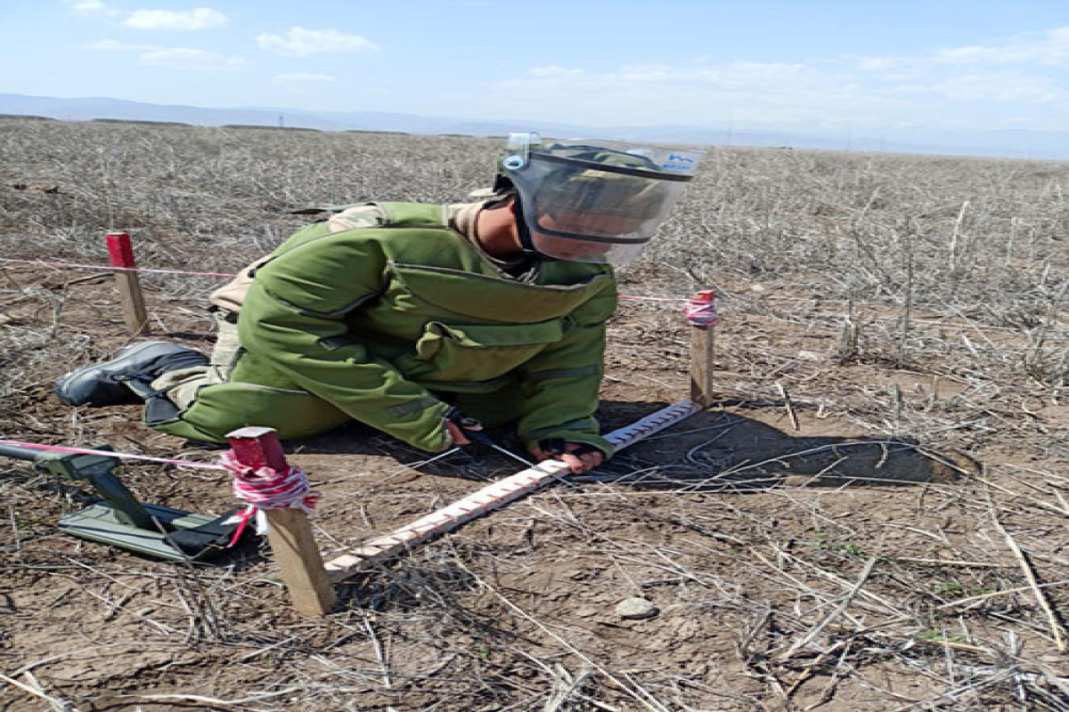 Azerbaijani MoD announces area of demined areas in the liberated lands