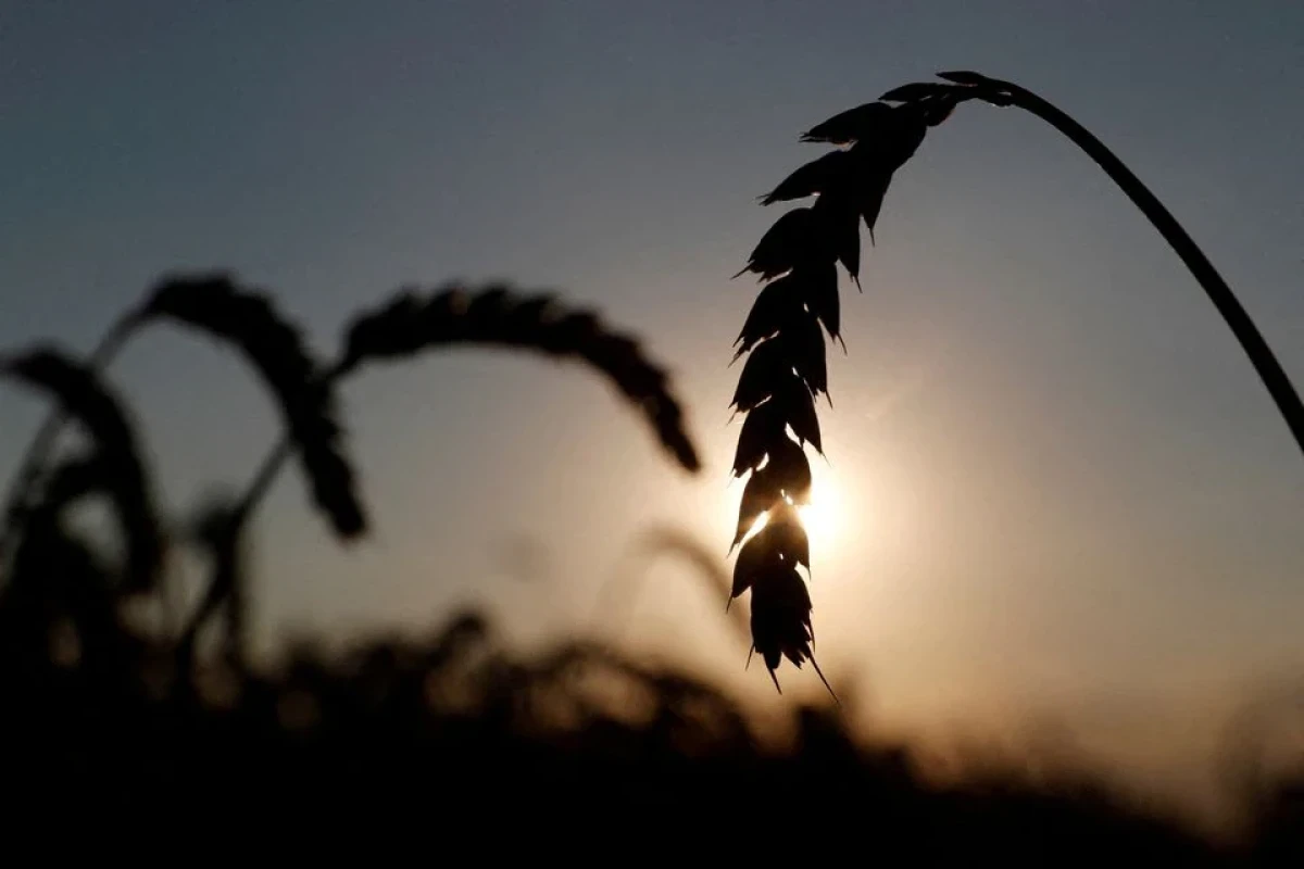 Ukraine's GDP may fall between 30%-50% in 2022 - Finance Minister