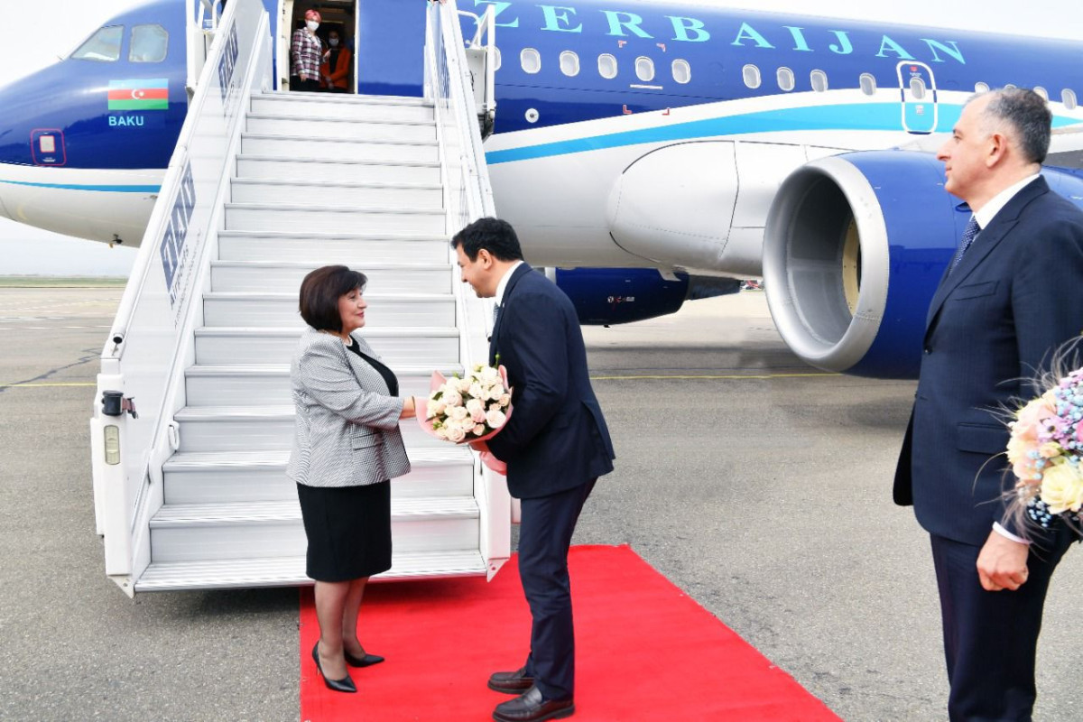 Speaker of Azerbaijani Parliament pays an official visit to Georgia