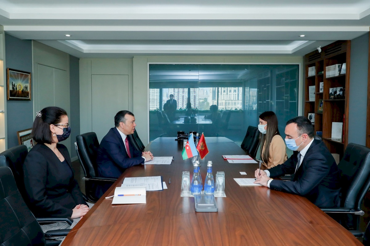Minister: Trade turnover between Azerbaijan and Montenegro increases by 3.75 times