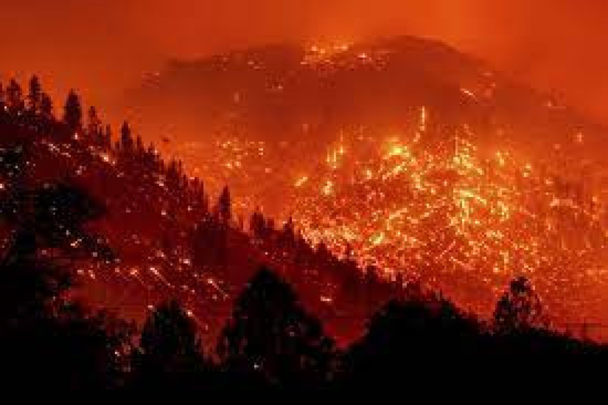 Fierce fire spreads rapidly in California's north
