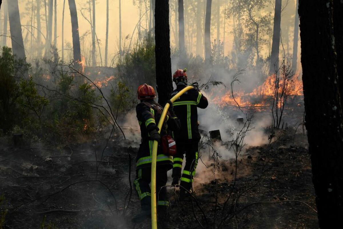 Thousands evacuated as smouldering French wildfire reignites