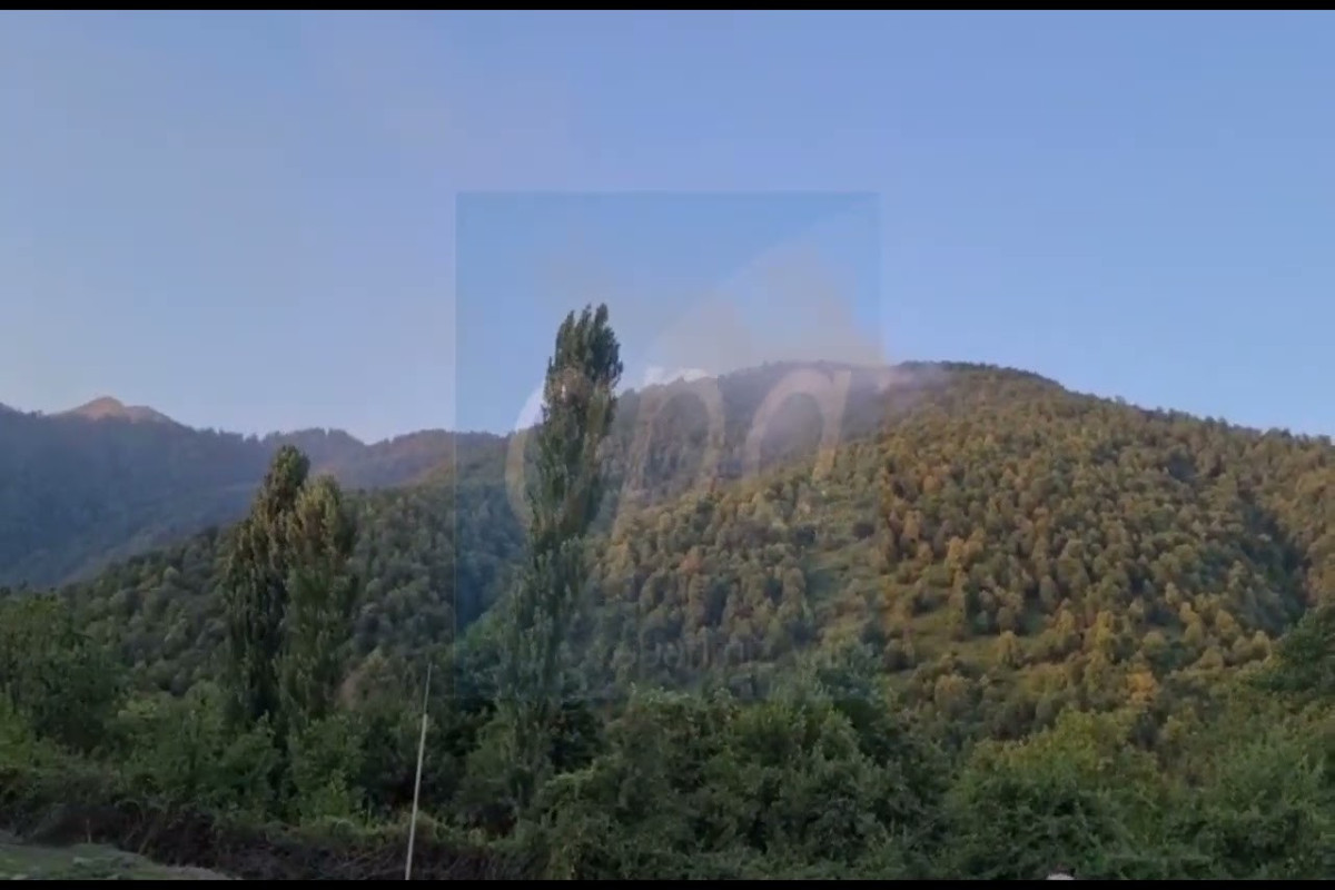 Fire in Gabala forest of Shahdag National Park taken under control