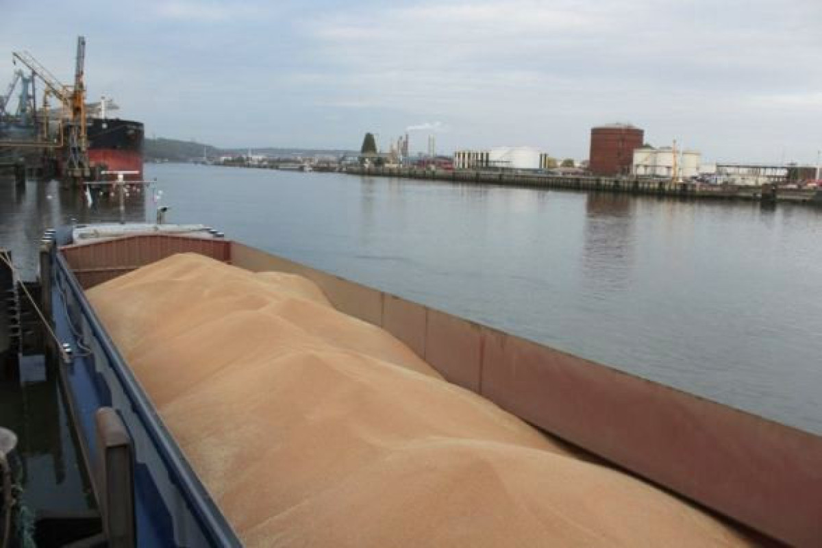 Four more ships carrying grain left Ukrainian ports