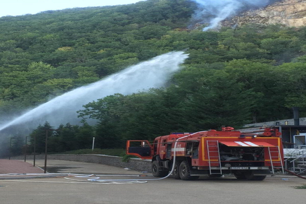 Forest fire area near "Galaalti" was extinguished --PHOTO 