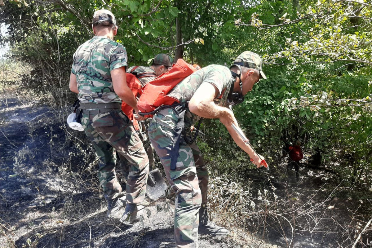 Measures on extinguishing fires in Azerbaijan’s northern and north-west regions are ongoing-PHOTO -VIDEO 
