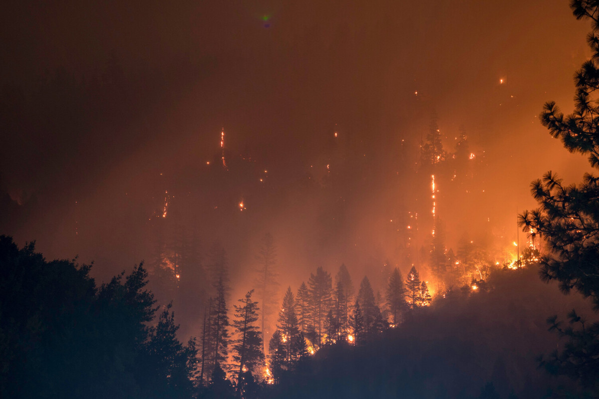 Russia has declared a state of emergency over wildfires