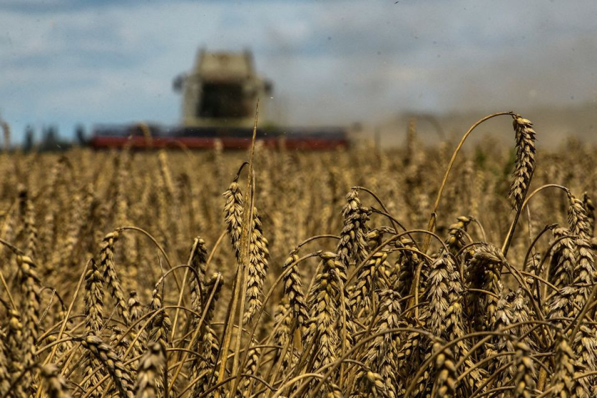 Two more grain ships leave Ukraine, Turkey's defence ministry says