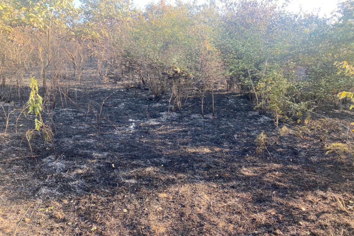 Fire in Guba localized