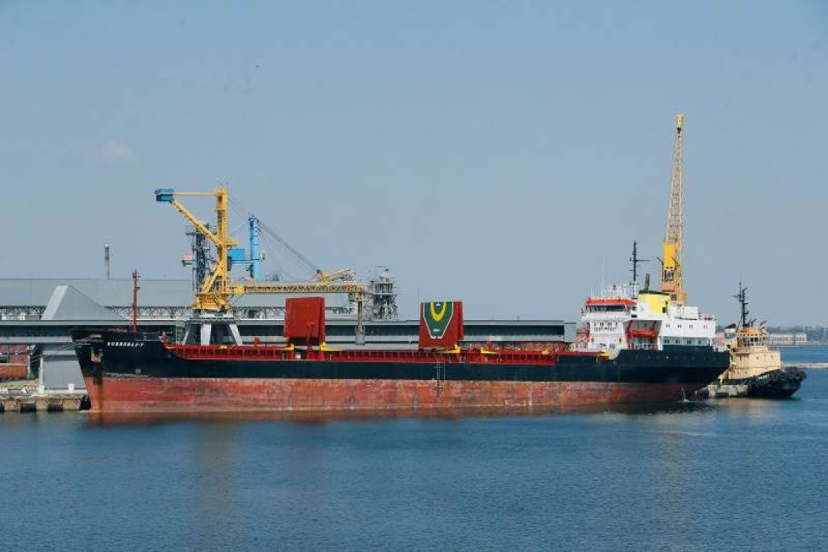 Zaporizhzhia region ready to export 7,000 tonnes of grain per day
