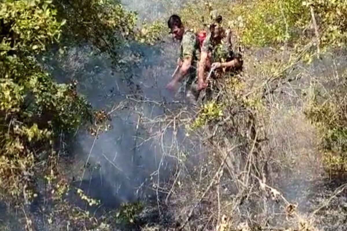 Fire in surrounding forest area nearby Tengealti village of Guba completely extinguished
