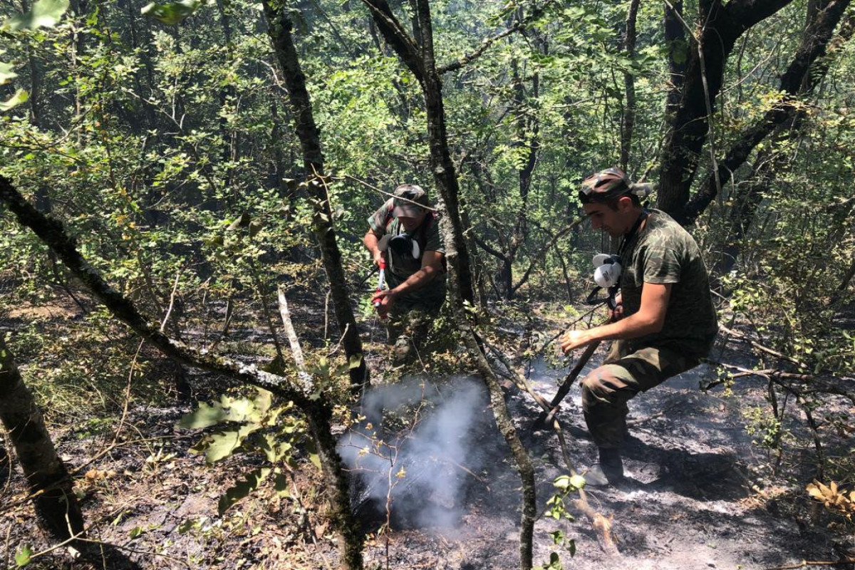 MES: Fires in mountainous and forest areas in Siyazan and Shabran have been completely extinguished-VIDEO 