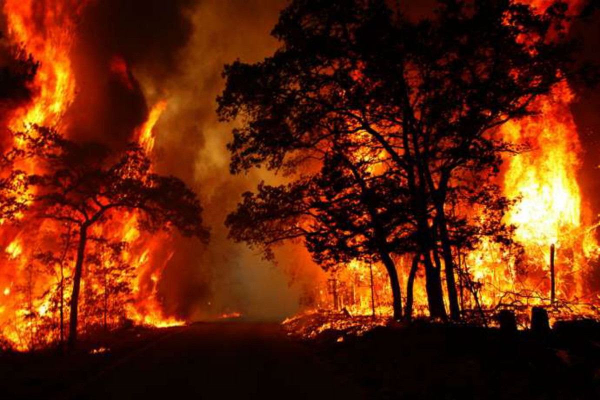 Russian government sets up commission to eradicate wildfires