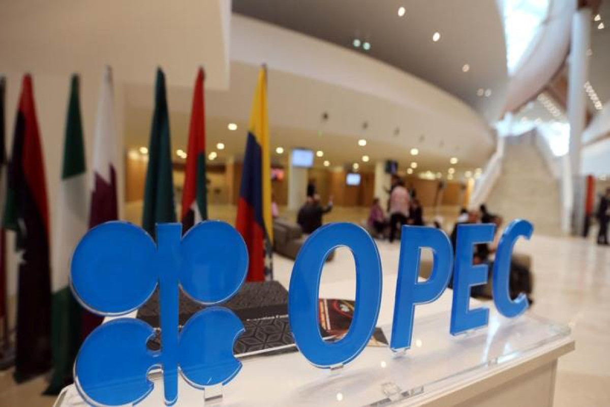 OPEC president backs Saudi plan to cut oil output