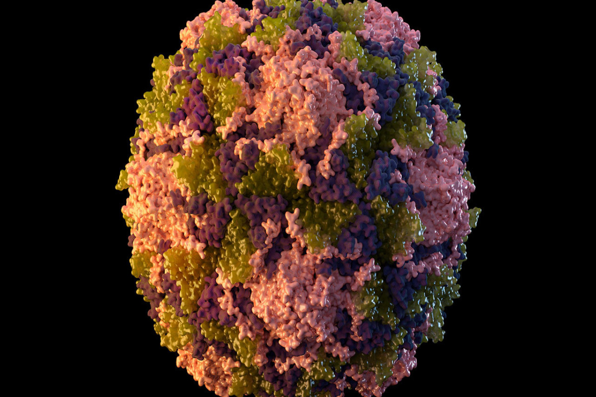 More polio virus detected in upstate New York wastewater