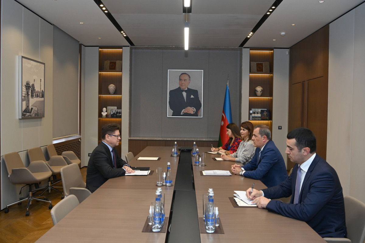 Azerbaijani FM received Head of Council of Europe Office in Baku