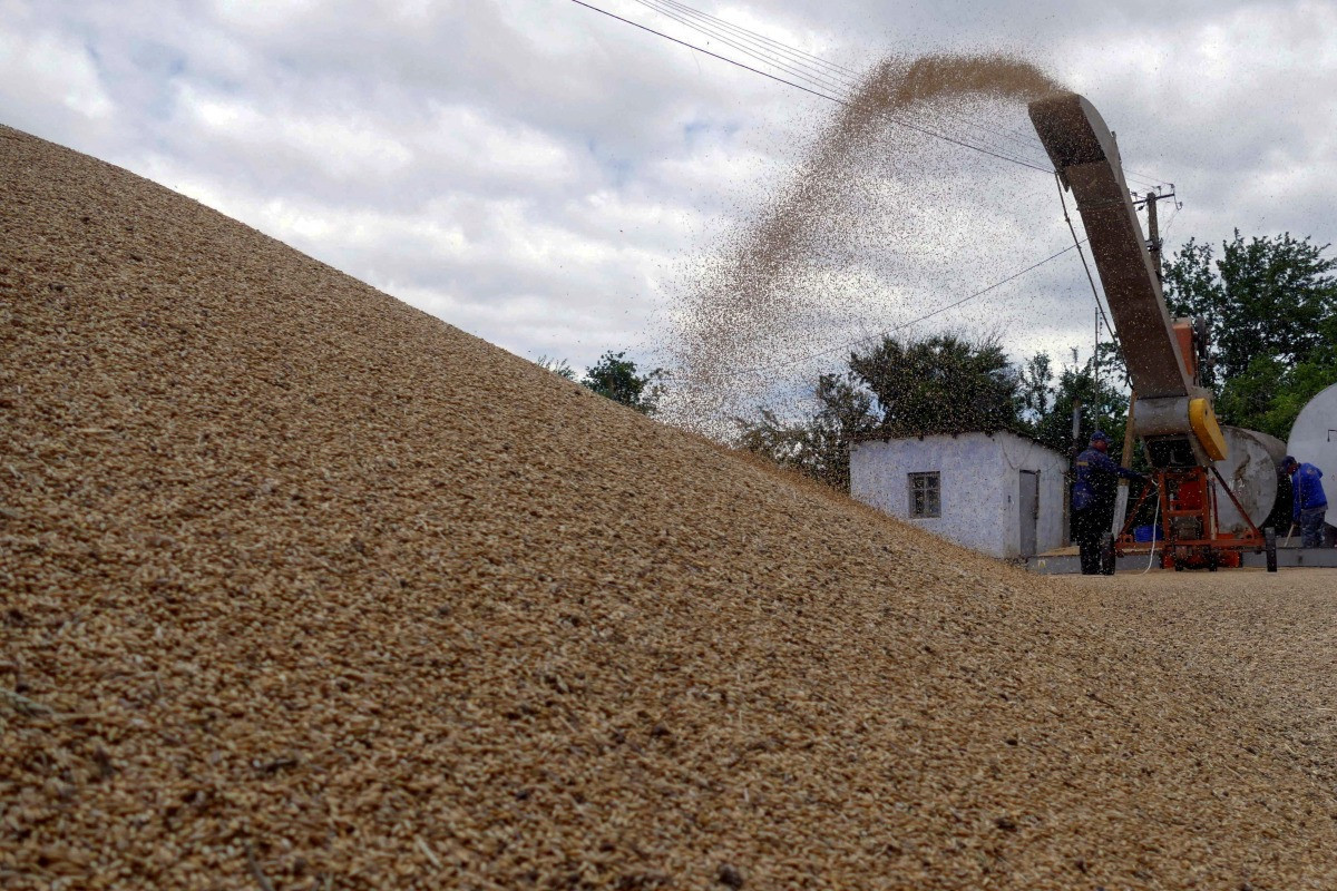 Ukraine allows sailors to leave country in likely boost for grain shipments