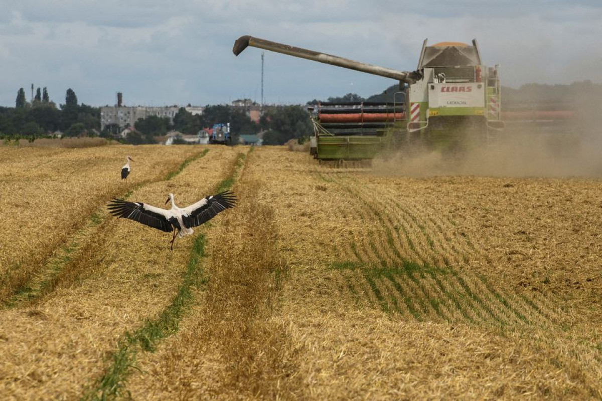 More grain must be shifted from Ukraine's silos, says U.N. official