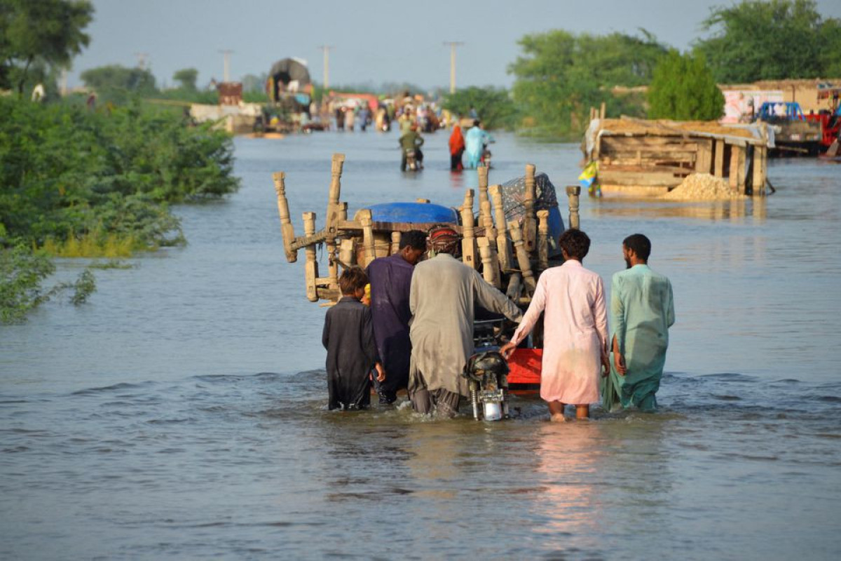 Pakistan floods cost at least $10 bln - planning minister