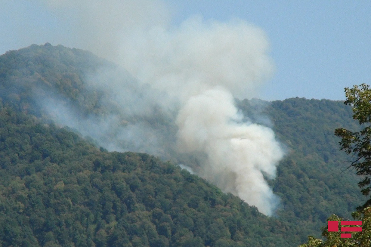 Fires in mountainous forest area in Azerbaijan's Shabran extinguished-UPDATED 