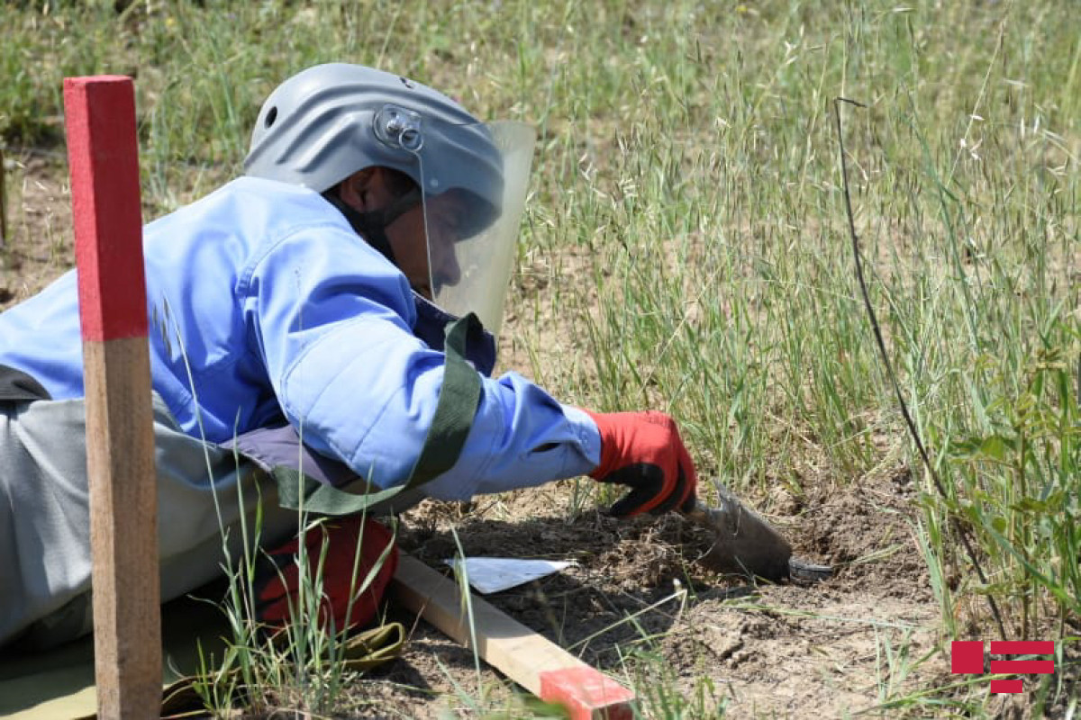 1,318 banned landmines, produced by Armenia, detected in Azerbaijan's Lachin