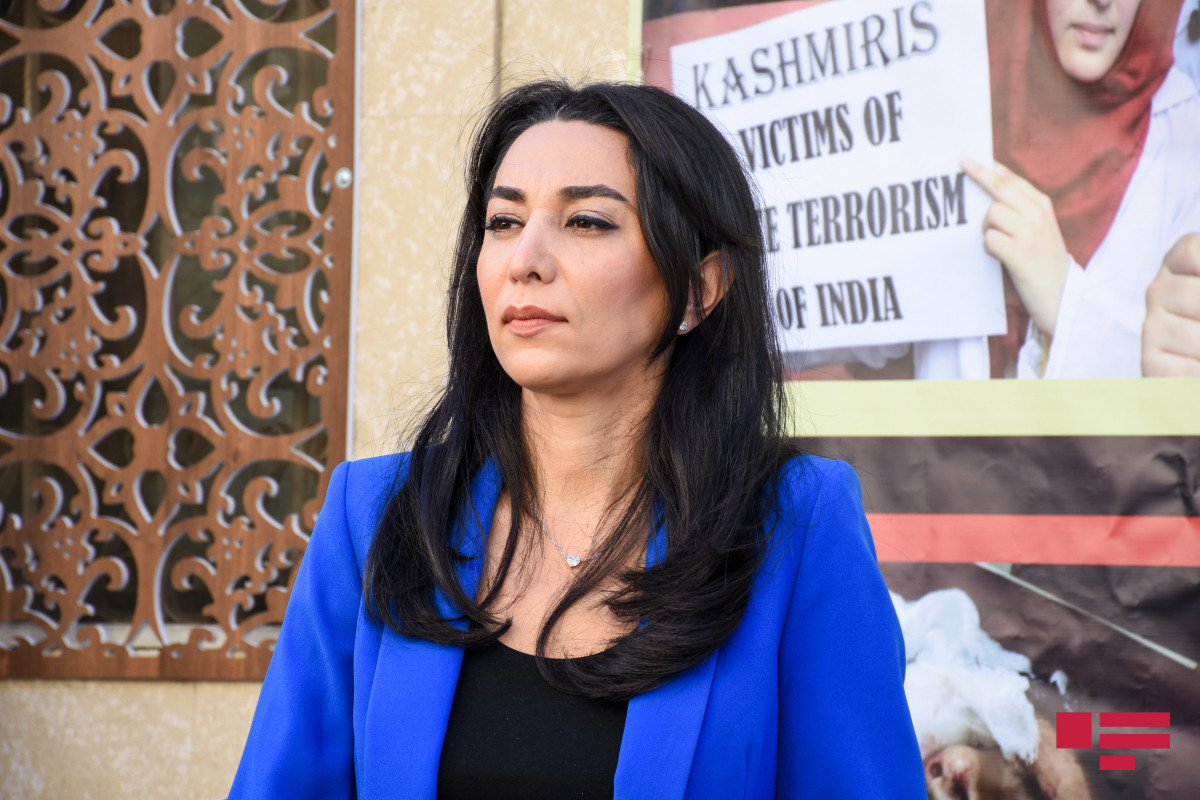 Commissioner for Human Rights (Ombudsman) of the Republic of Azerbaijan Sabina Aliyeva