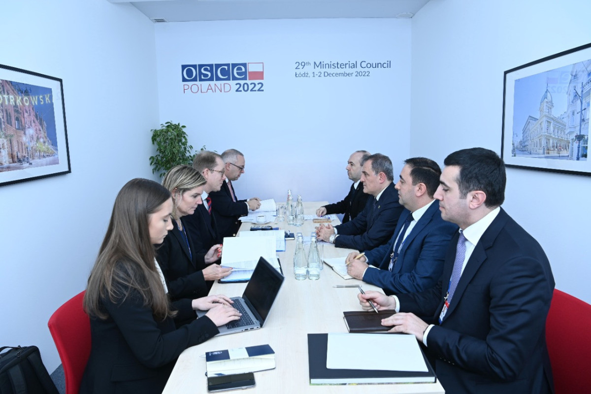 Azerbaijani FM discussed bilateral cooperation with his Swedish counterpart