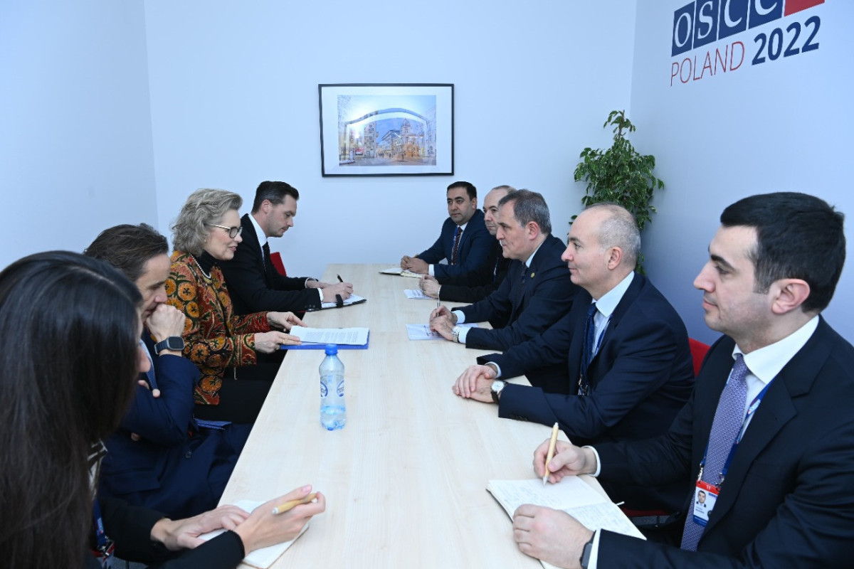 Minister: Azerbaijan will continue its efforts for signing peace agreement
