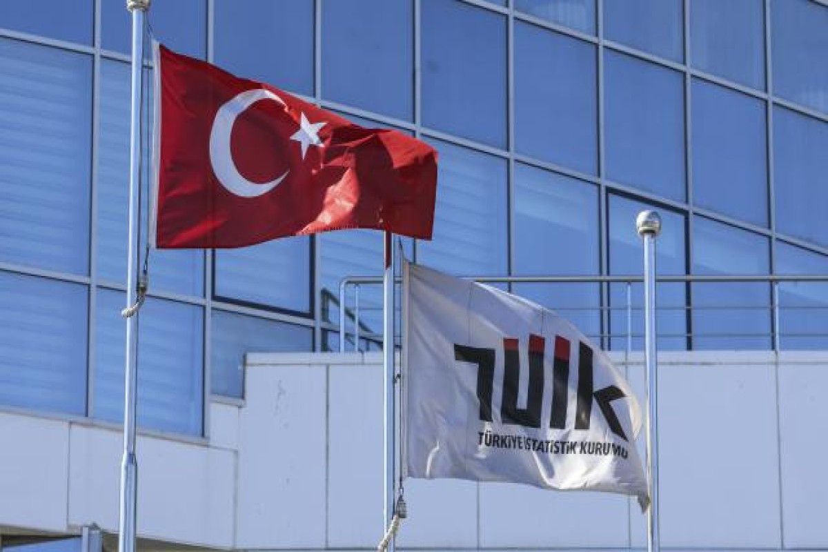Turkiye’s inflation slows below 85% in first decline in over year