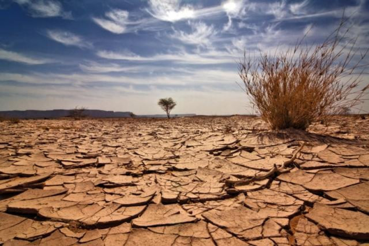 Serious shortage of water in Azerbaijan is observed: WB Senior Specialist
