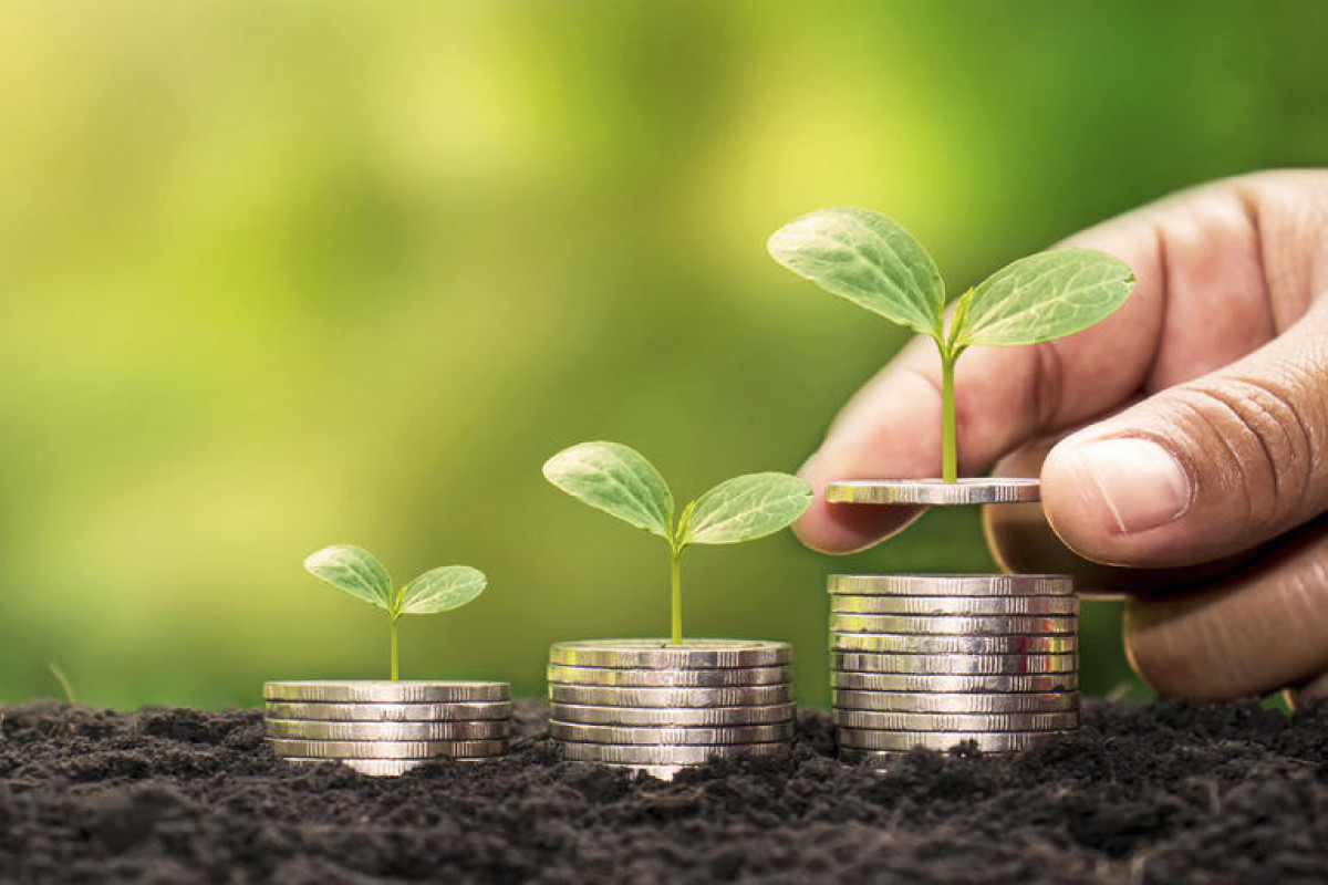 Specialist of WB: SOFAZ can pay more attention to green investing
