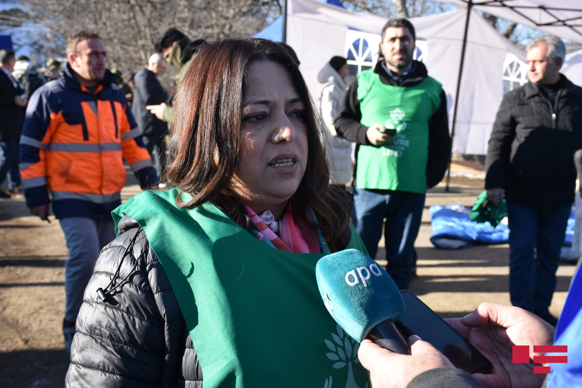 Member of the Public Council under the Ministry of Ecology and Natural Resources, chair of the "Support for innovative education of women and children," Public Union Aynur Zulfugarova