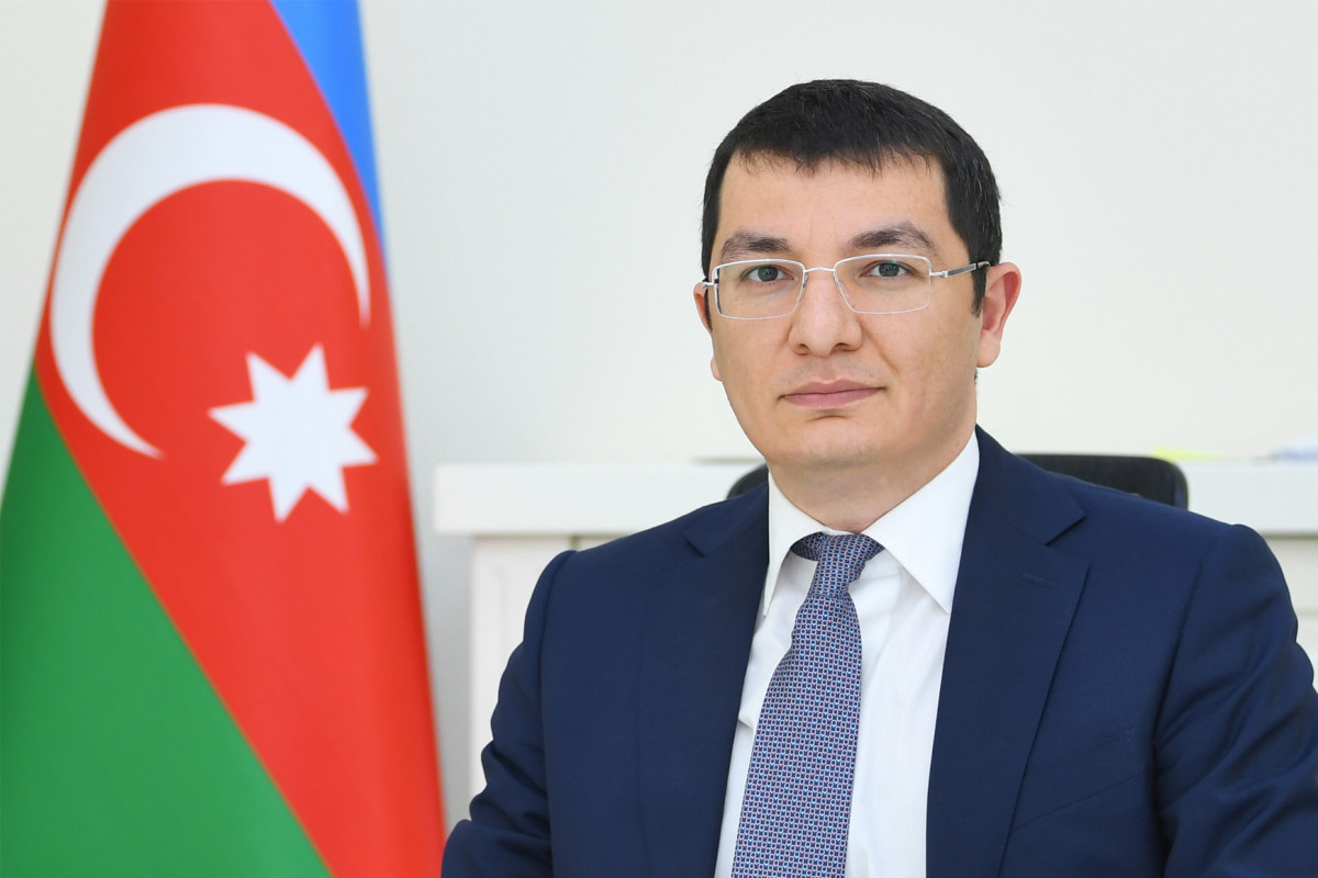 Elnur Aliyev, Deputy Economy Minister